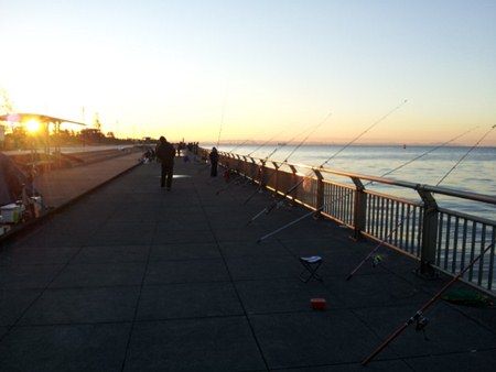 20121125_063906