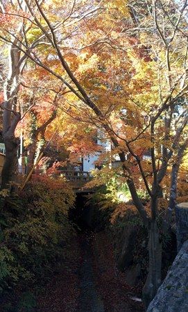 20121206_090002