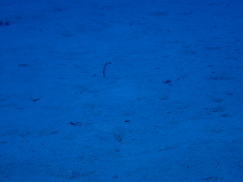 PB040065