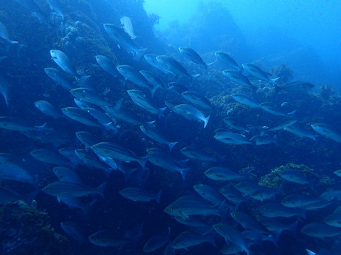 P8100024