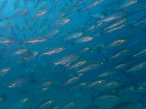 P9280010