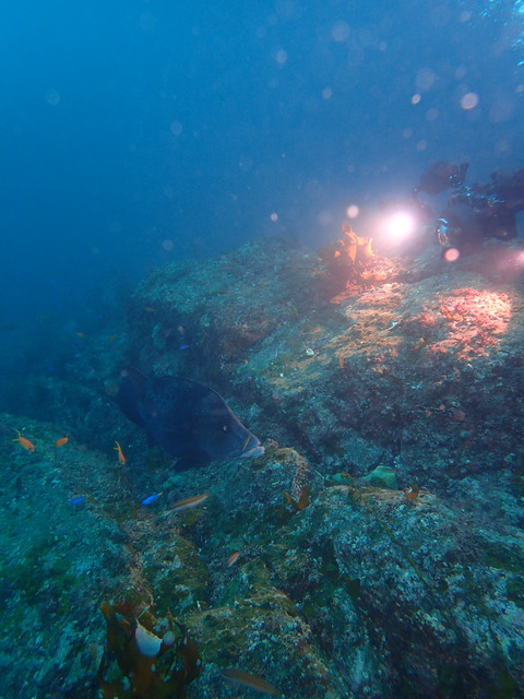 P9240107