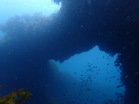 P7170003