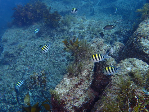 P9140027