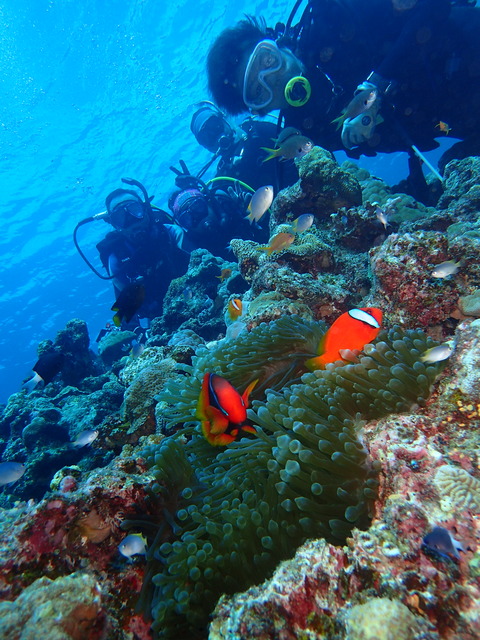 PB050192