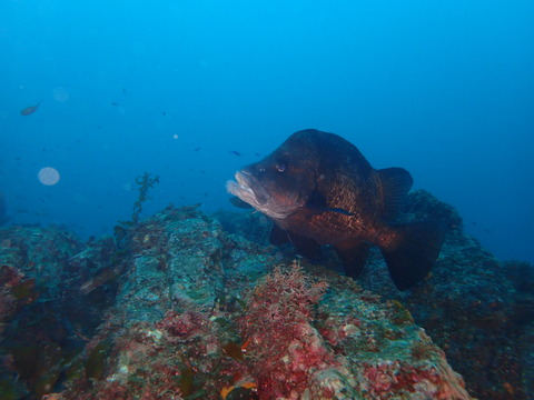 P9240099