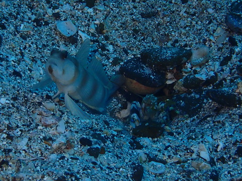 P9140038