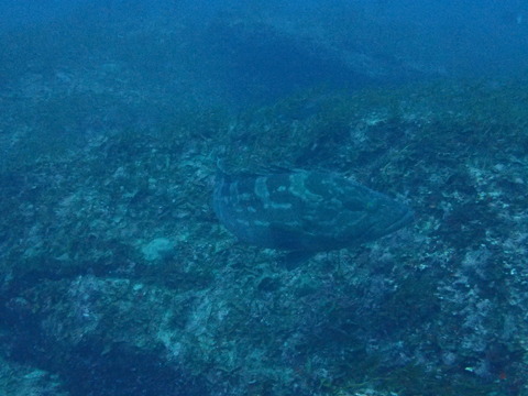 P7160006