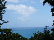 海