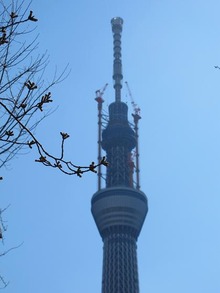 スカイツリー