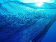 アギヤー５－４