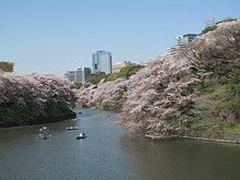 写真 007