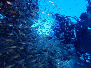 P4300231