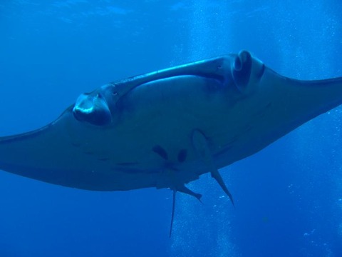 P9280555