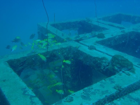 P2030396