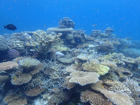 PB021265