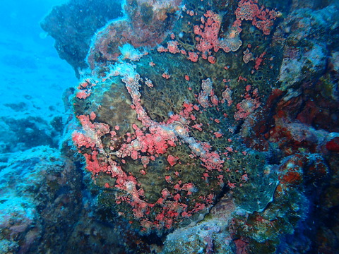 P8201320