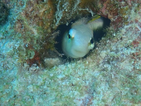 P2040432