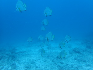 P8011990