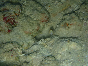 P9211170