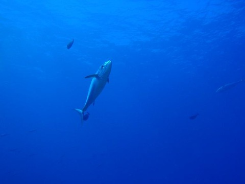 P2040458