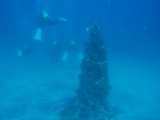 クリスマスツリー