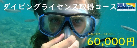 diving-496847_1920