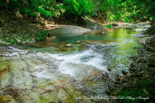 _DSC5274-4