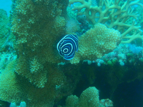 P7020681