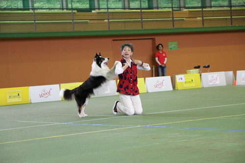 IMG_0918_original