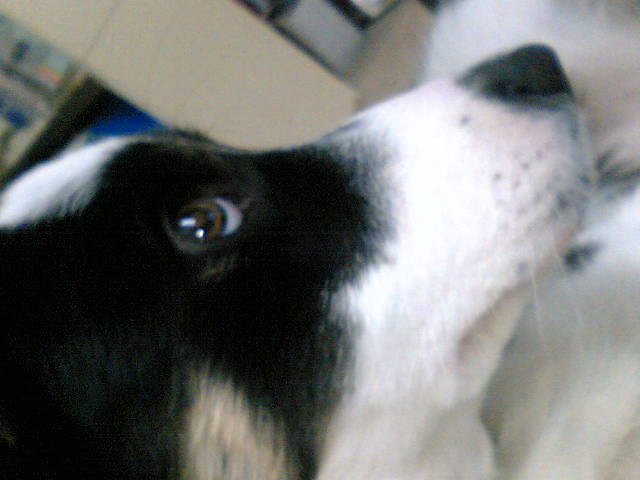 d08d5b6c.jpg