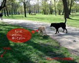 出会い 3.