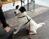 ニコニコ〜♪