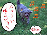 呼んだァ〜?