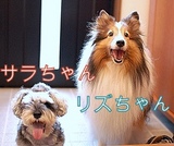 リズちゃんとサラちゃん