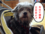三日目の貫禄〜♪