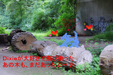  �����콵�ָ�Υץ顼����