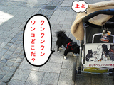 匂いはすれど。。。