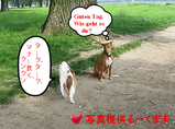 マナー良しのルーク君