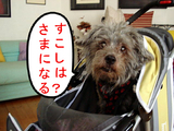 第一日目はこんなもん?
