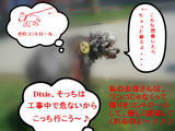 ワンコのコントロール