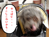 微妙な感じ。。。