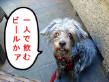 オヤツはァ?
