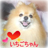 いちごちゃん