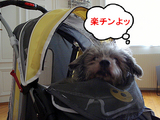 顎乗せしてリラックス