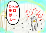 ちょっと方向音痴。。。