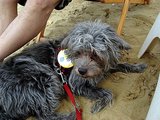 砂浜バーの砂は気持ち良いよ