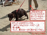 シグナルのタイミング