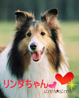 リンダちゃん
