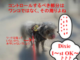 コントロールする部分